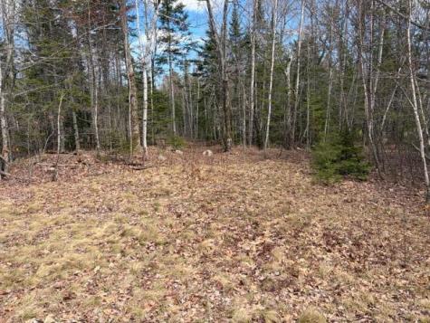 Lot # 146 White Tail Road Waltham ME 04605