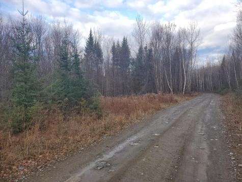 Lot 4 West Of May Mountain Road Island Falls ME 04747
