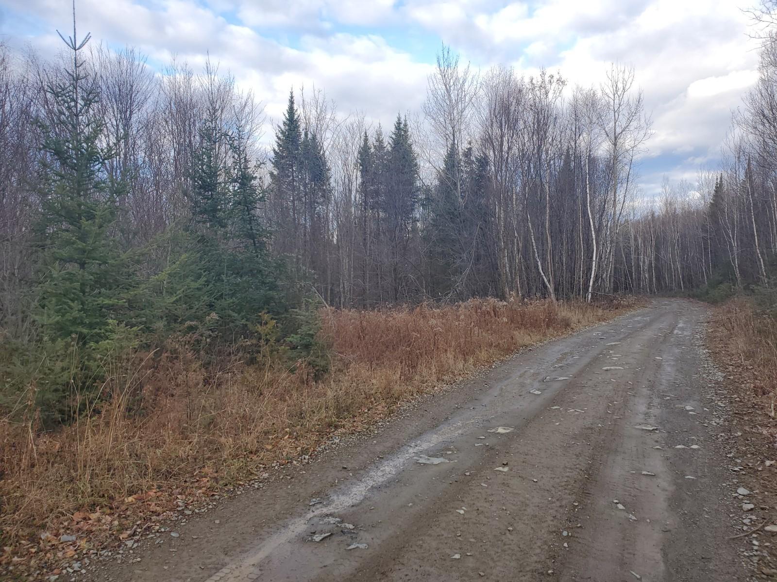 Lot 4 West Of May Mountain Road Island Falls ME 04747