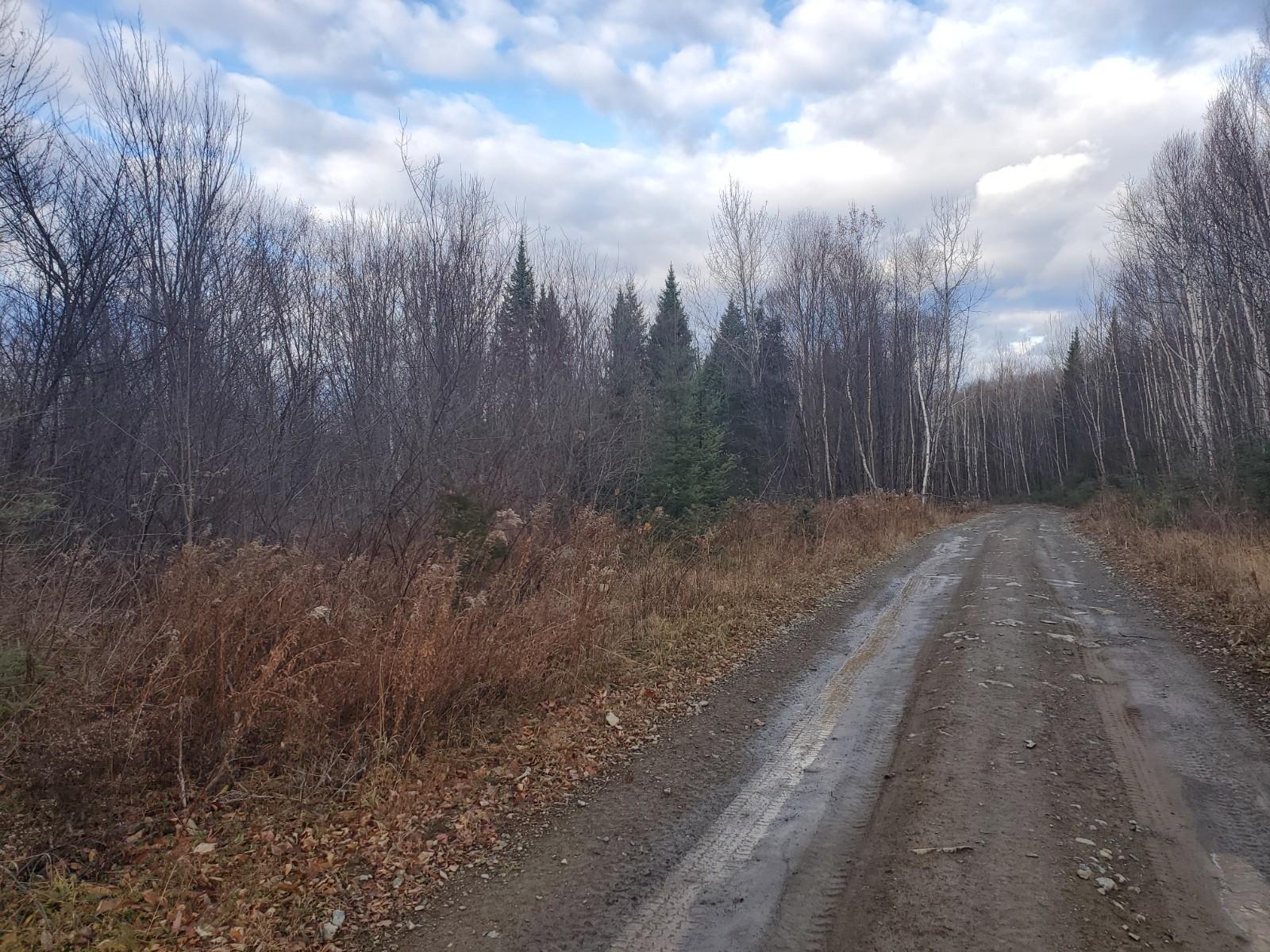 Lot 4 West Of May Mountain Road Island Falls ME 04747
