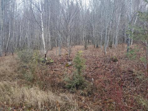 Lot 4 West Of May Mountain Road Island Falls ME 04747