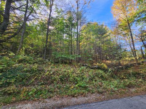 Lot 12a Bear Pond Road Waterford ME 04088