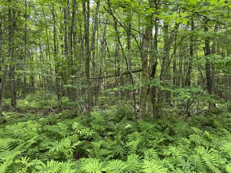 00 Tewksbury Lane Ripley ME 04930