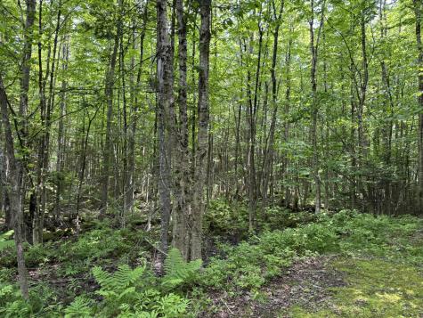 00 Tewksbury Lane Ripley ME 04930