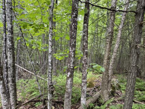 00 Tewksbury Lane Ripley ME 04930