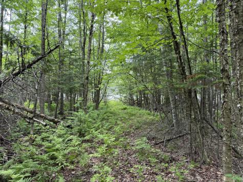 00 Tewksbury Lane Ripley ME 04930