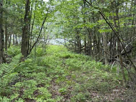 00 Tewksbury Lane Ripley ME 04930