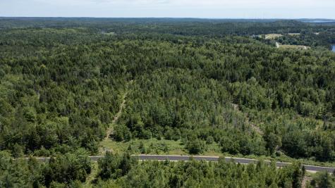 Lot 25 Lucas Lane Whiting ME 04691