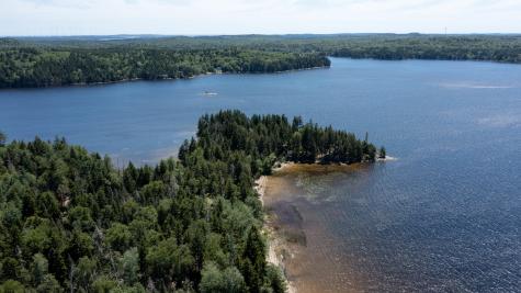 Lot 25 Lucas Lane Whiting ME 04691