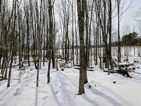 Lot 26 Canton Mountain Road Jay ME 04239