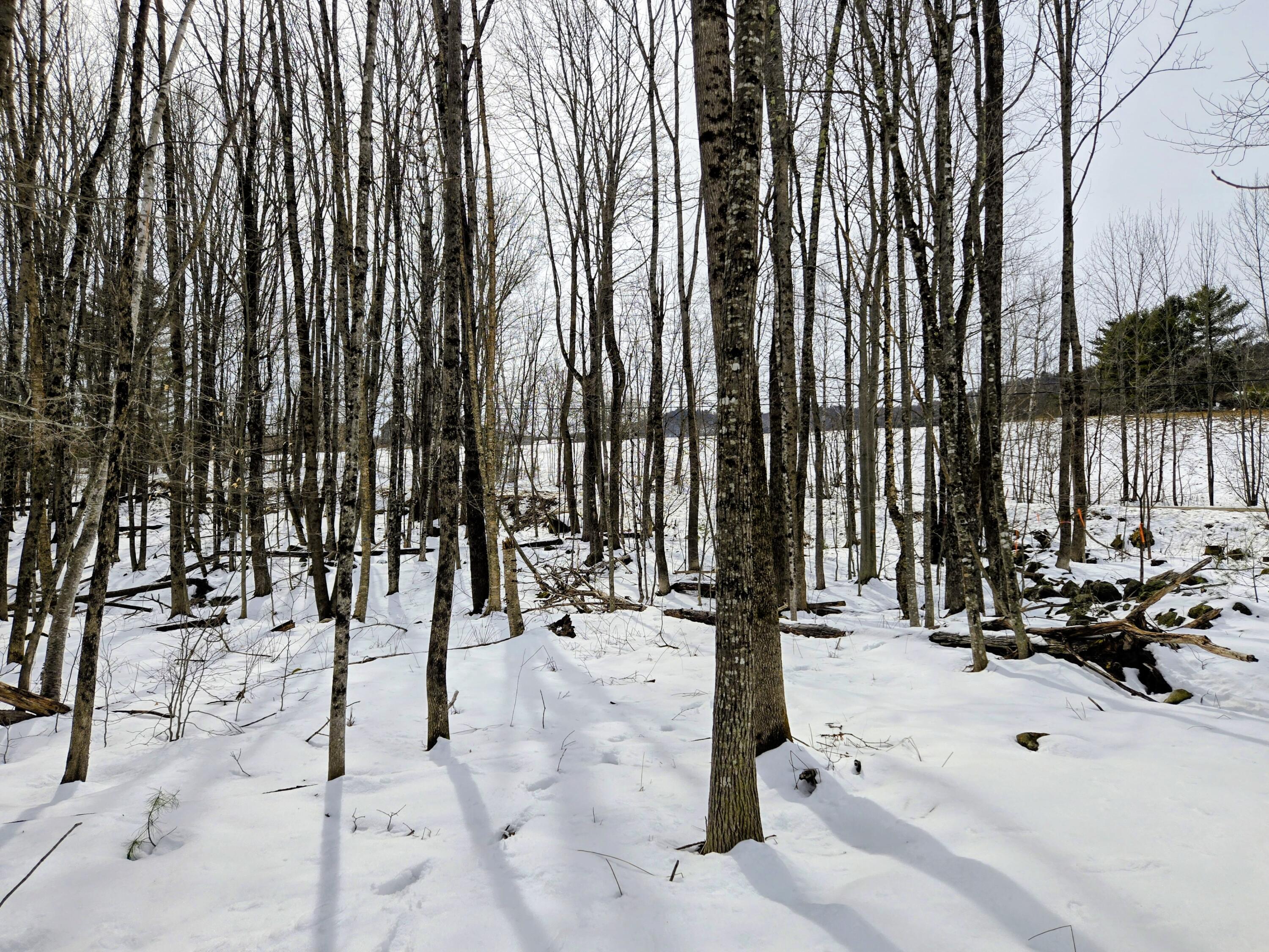 Lot 26 Canton Mountain Road Jay ME 04239