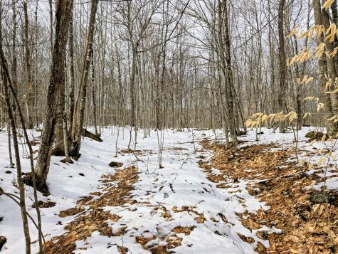 Lot 26 Canton Mountain Road Jay ME 04239