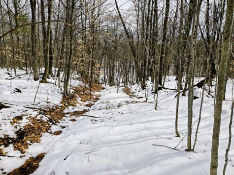 Lot 26 Canton Mountain Road Jay ME 04239