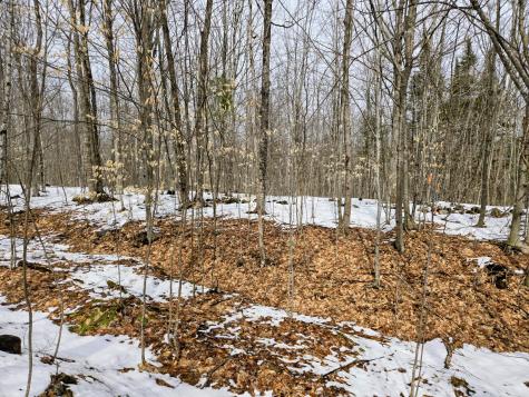 Lot 26 Canton Mountain Road Jay ME 04239
