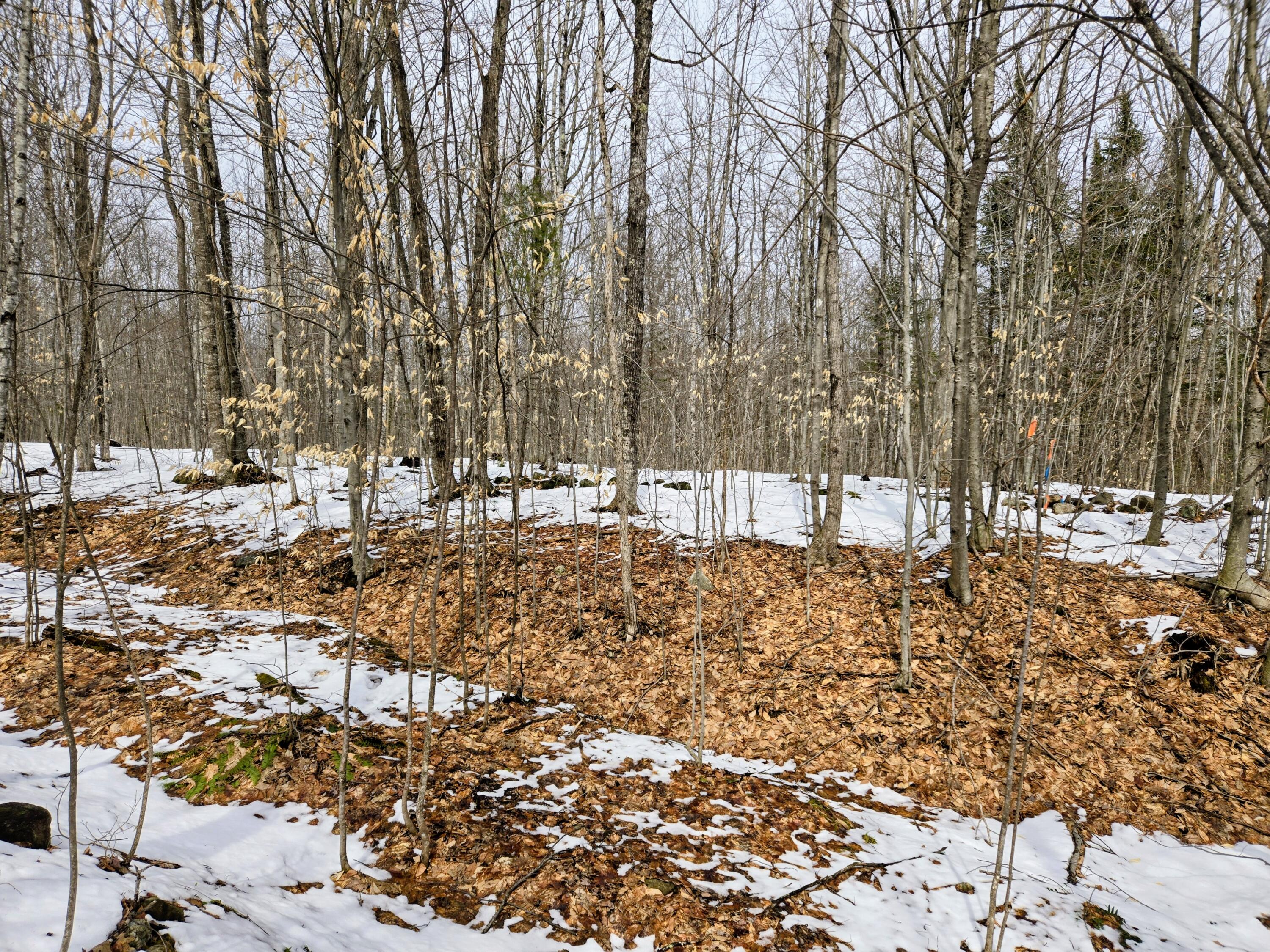 Lot 26 Canton Mountain Road Jay ME 04239
