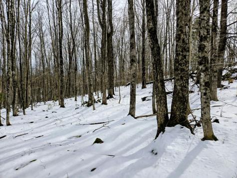 Lot 26 Canton Mountain Road Jay ME 04239