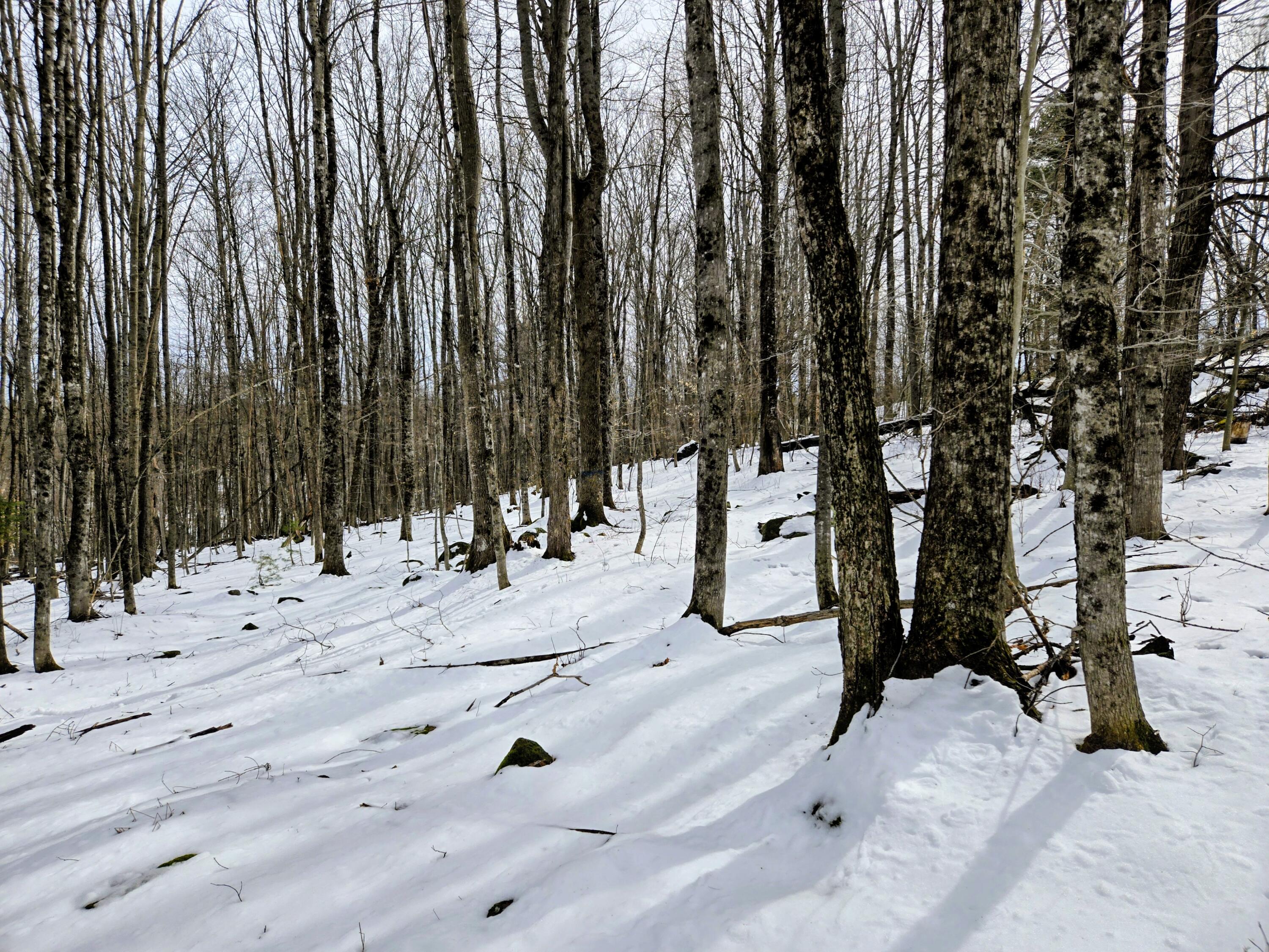 Lot 26 Canton Mountain Road Jay ME 04239