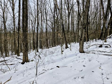 Lot 26 Canton Mountain Road Jay ME 04239