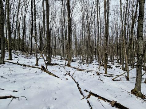 Lot 26 Canton Mountain Road Jay ME 04239
