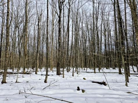 Lot 26 Canton Mountain Road Jay ME 04239