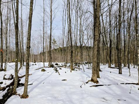 Lot 26 Canton Mountain Road Jay ME 04239