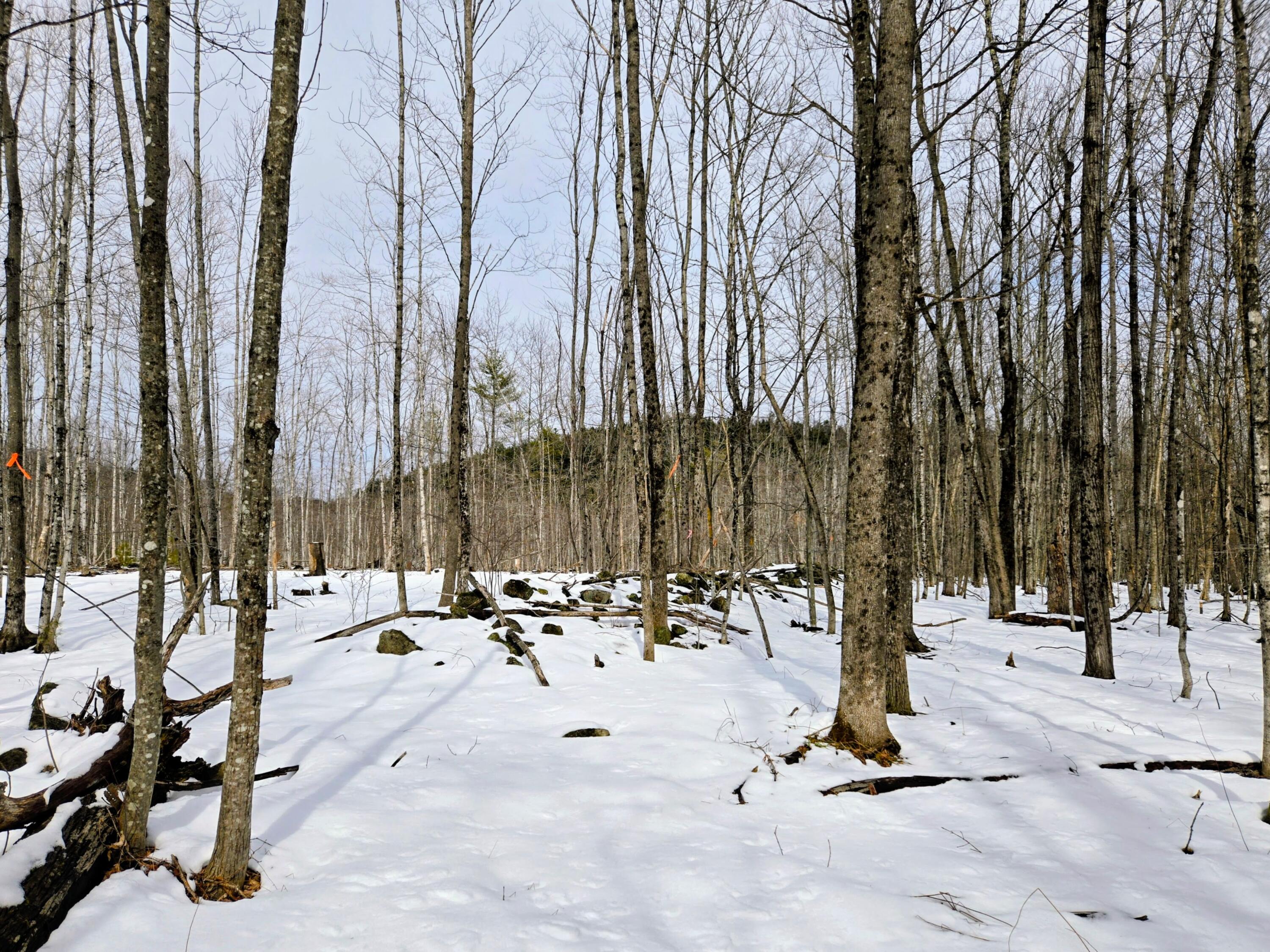 Lot 26 Canton Mountain Road Jay ME 04239