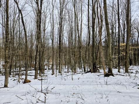 Lot 26 Canton Mountain Road Jay ME 04239