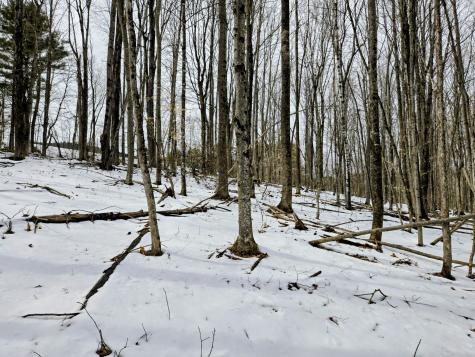 Lot 26 Canton Mountain Road Jay ME 04239
