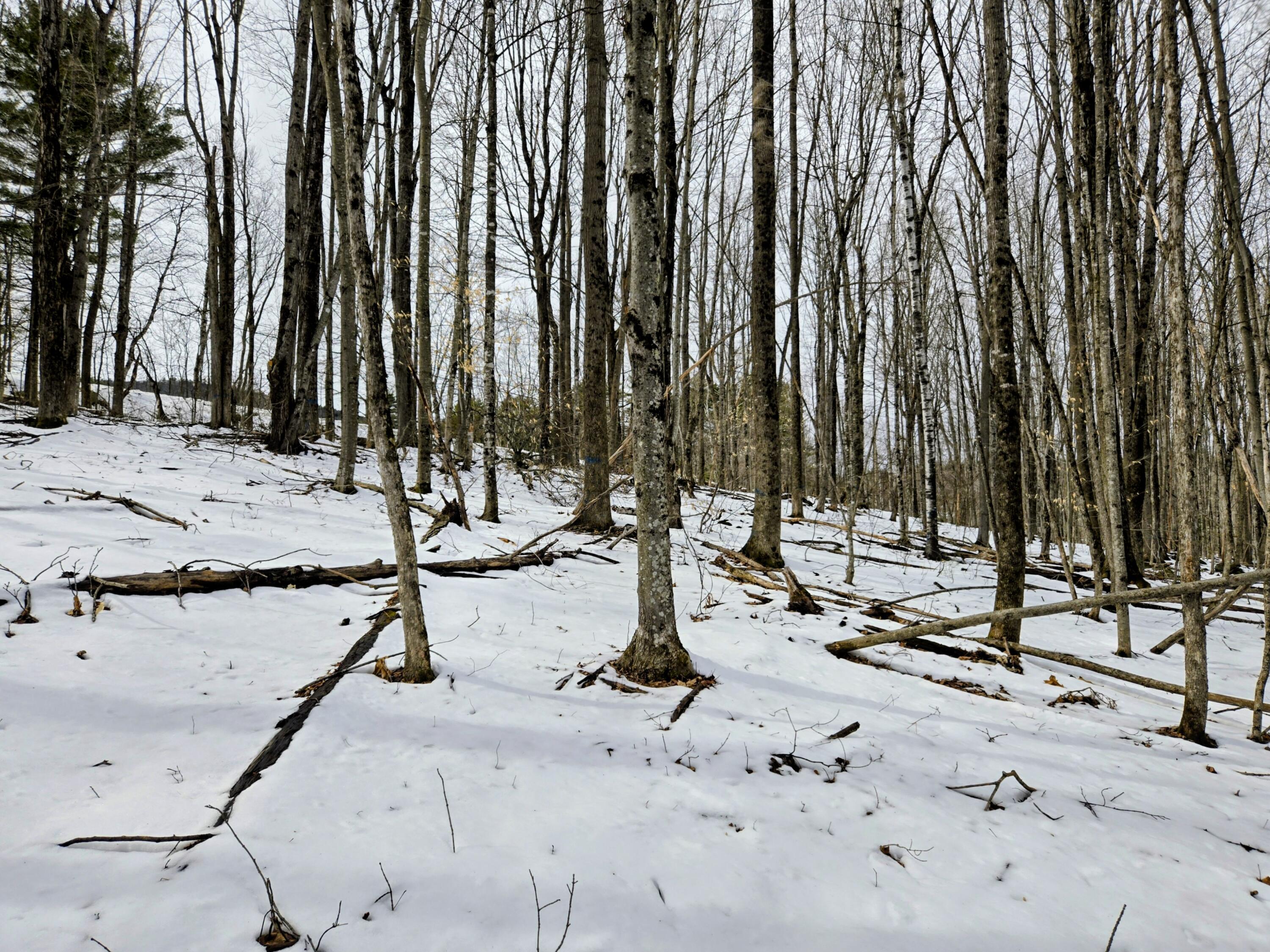 Lot 26 Canton Mountain Road Jay ME 04239