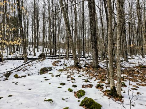 Lot 26 Canton Mountain Road Jay ME 04239