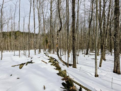 Lot 26 Canton Mountain Road Jay ME 04239