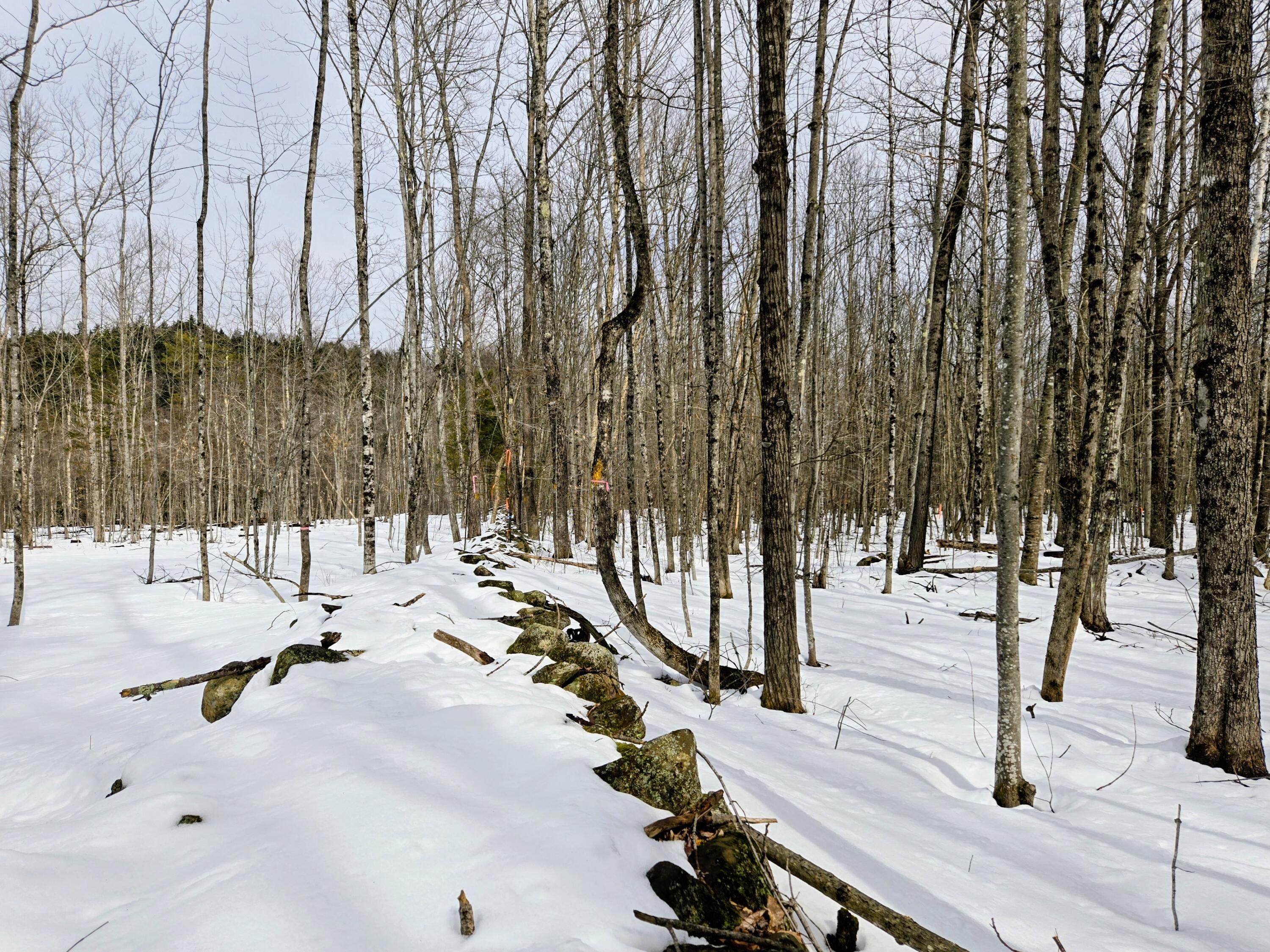 Lot 26 Canton Mountain Road Jay ME 04239