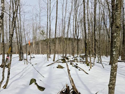 Lot 26 Canton Mountain Road Jay ME 04239