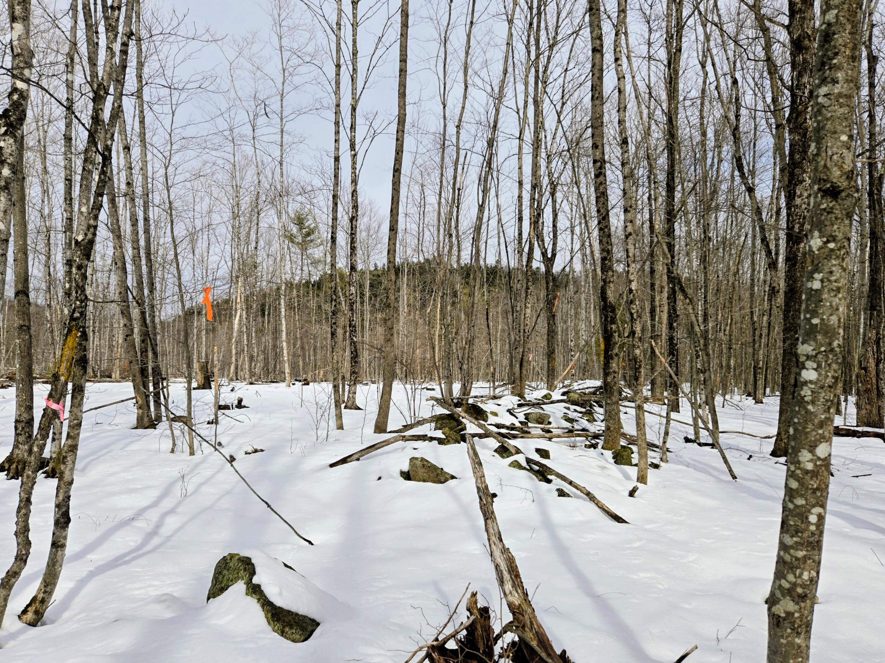 Lot 26 Canton Mountain Road Jay ME 04239