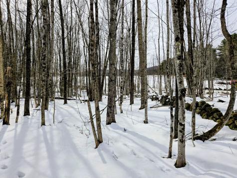 Lot 26 Canton Mountain Road Jay ME 04239