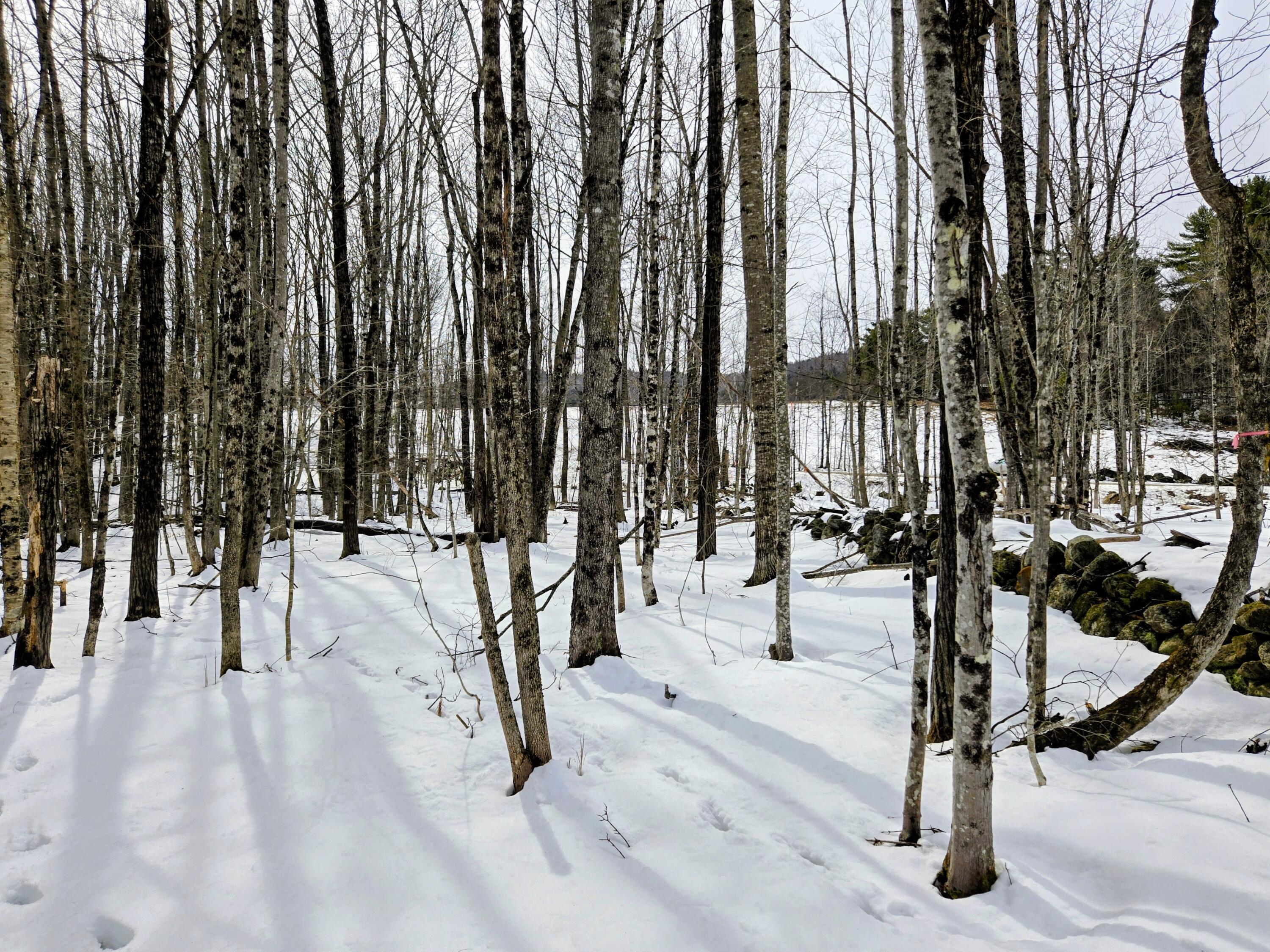 Lot 26 Canton Mountain Road Jay ME 04239
