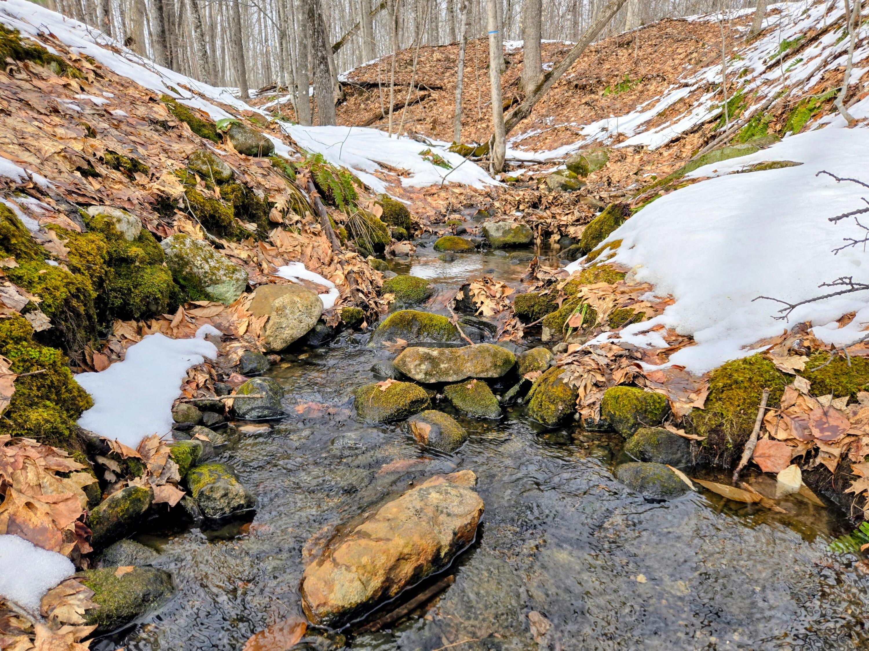 Lot 26 Canton Mountain Road Jay ME 04239