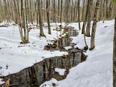Lot 26 Canton Mountain Road Jay ME 04239