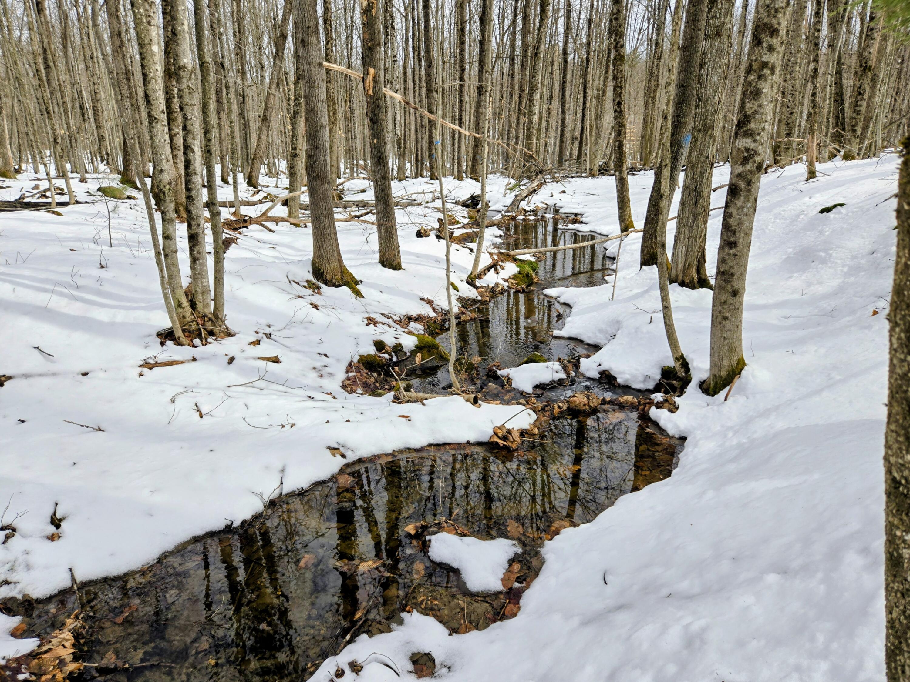 Lot 26 Canton Mountain Road Jay ME 04239