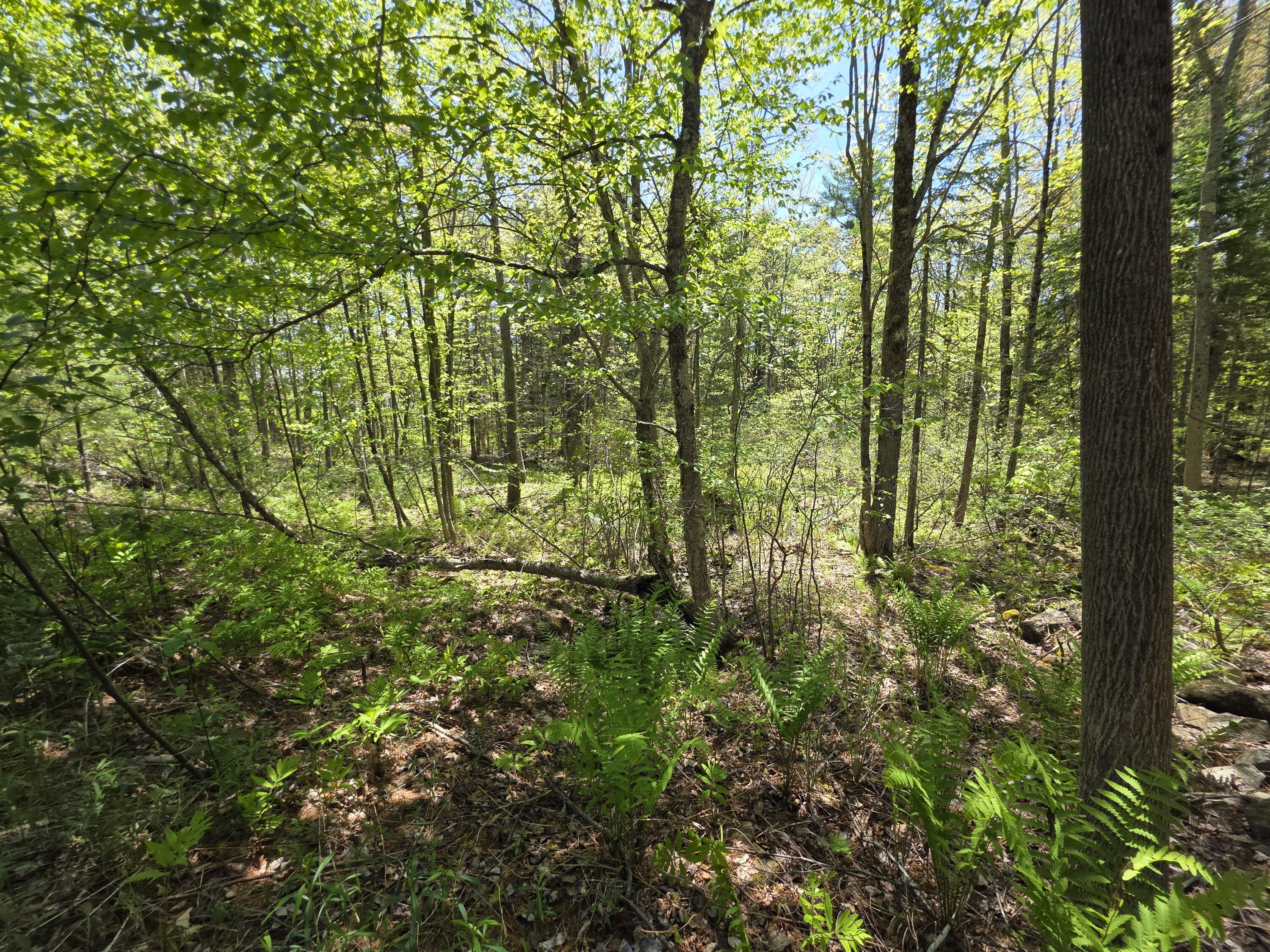 Lot 254 Eastern Avenue Augusta ME 04330