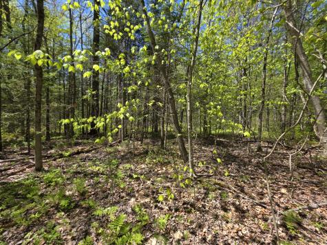 Lot 254 Eastern Avenue Augusta ME 04330
