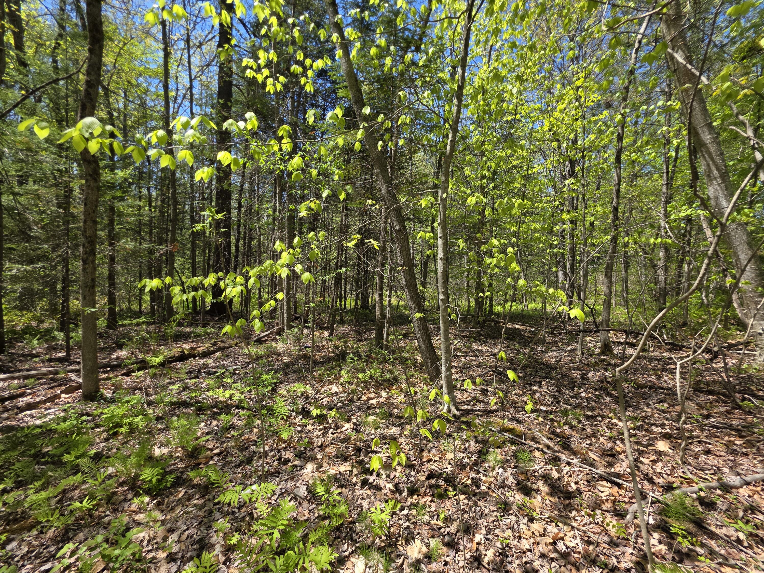 Lot 254 Eastern Avenue Augusta ME 04330