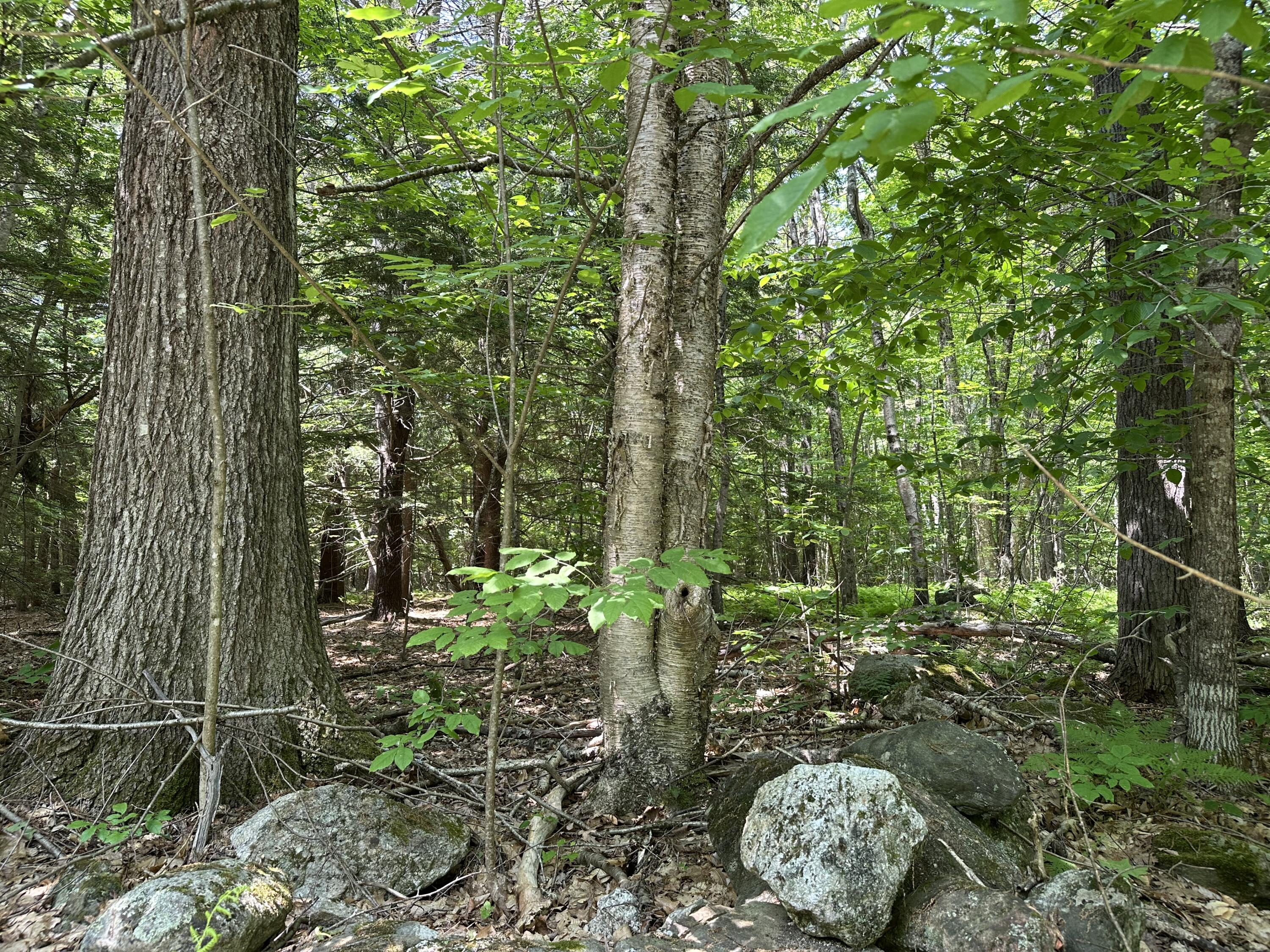 0 Dingley Road Bowdoinham ME 04008