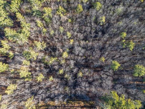 35 Hoffman Lane Lebanon ME 04027