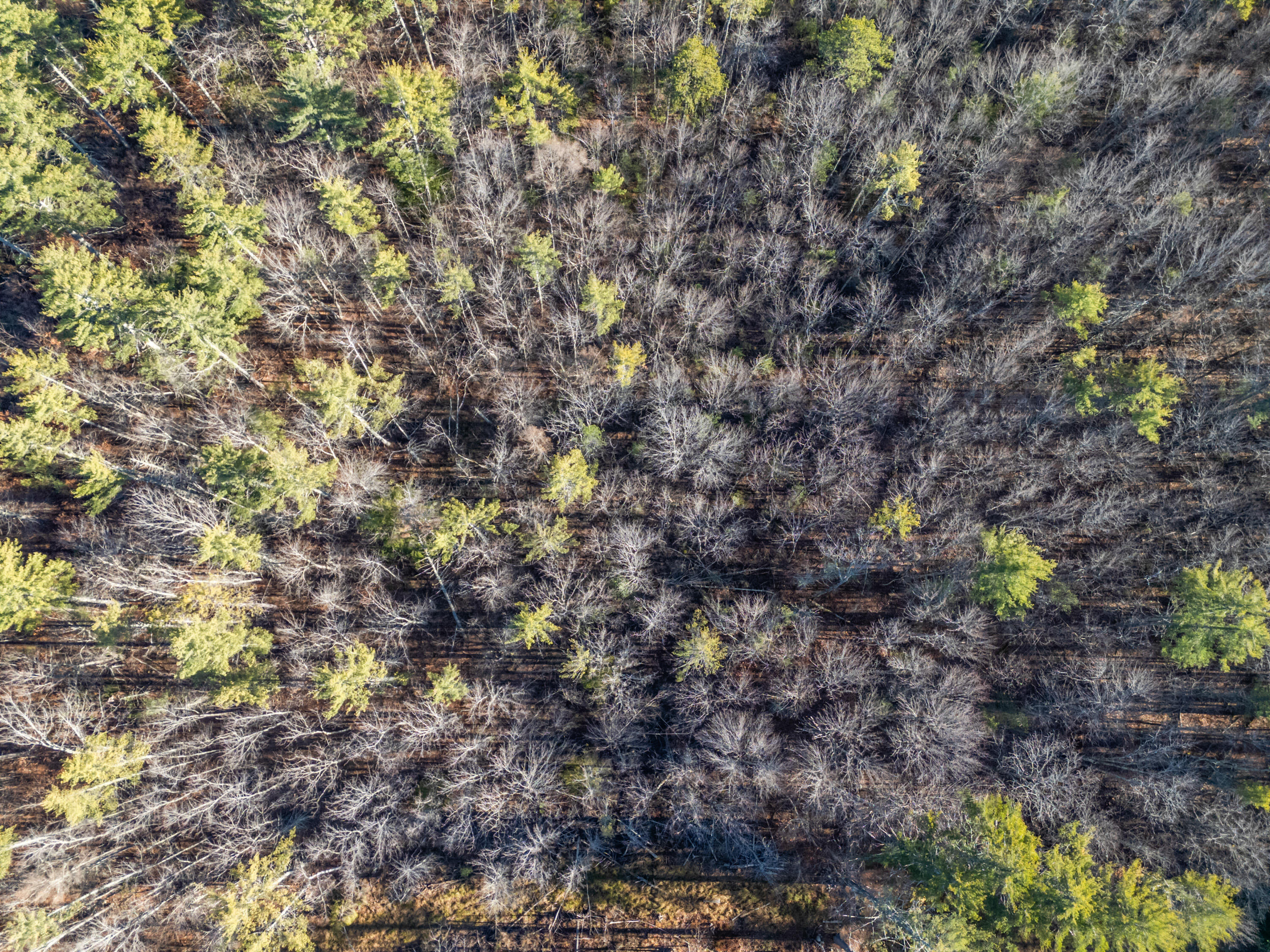 35 Hoffman Lane Lebanon ME 04027