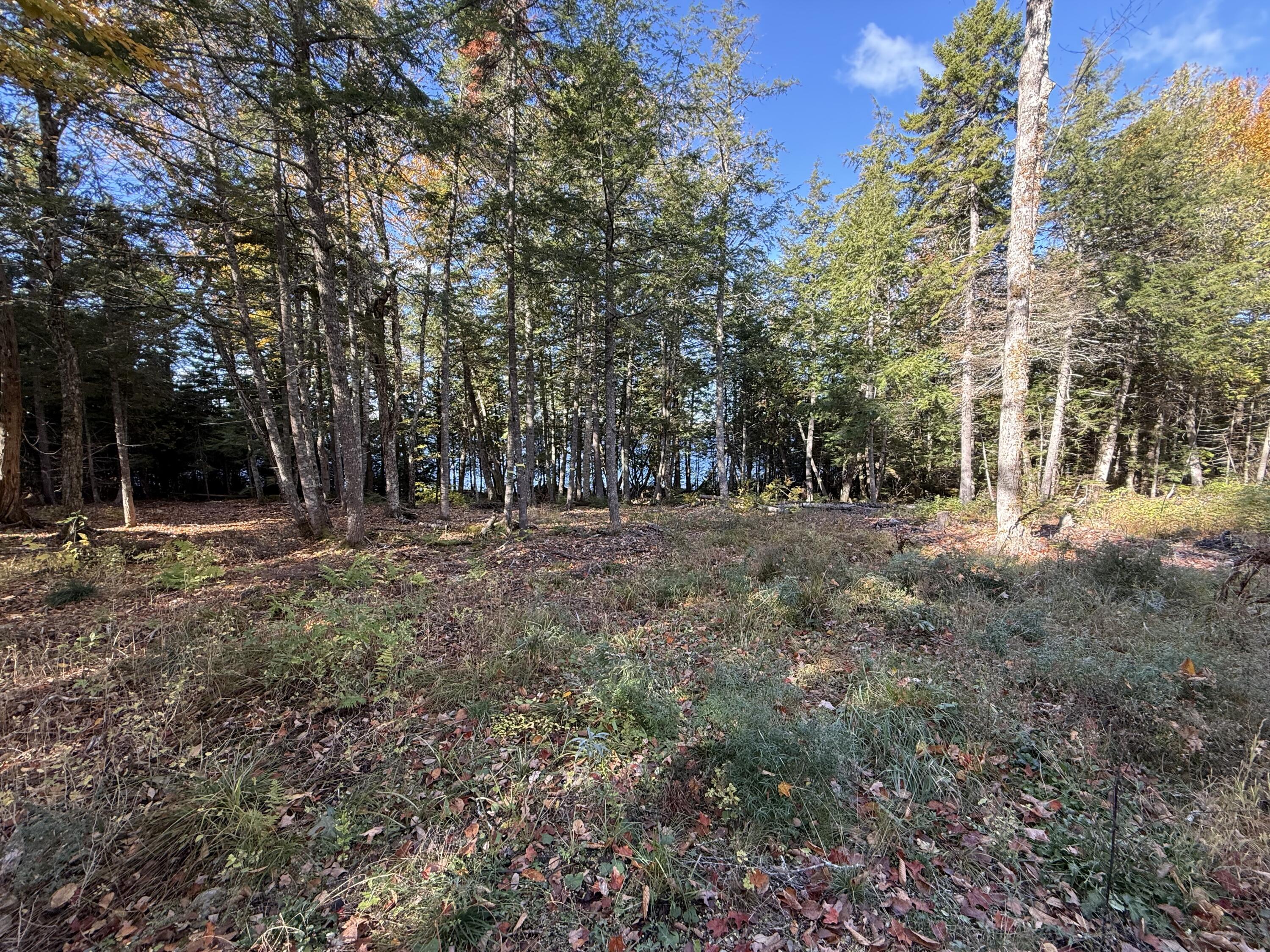 2 East Shore Road Glenwood ME 04497