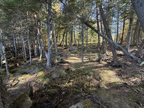 2 East Shore Road Glenwood ME 04497