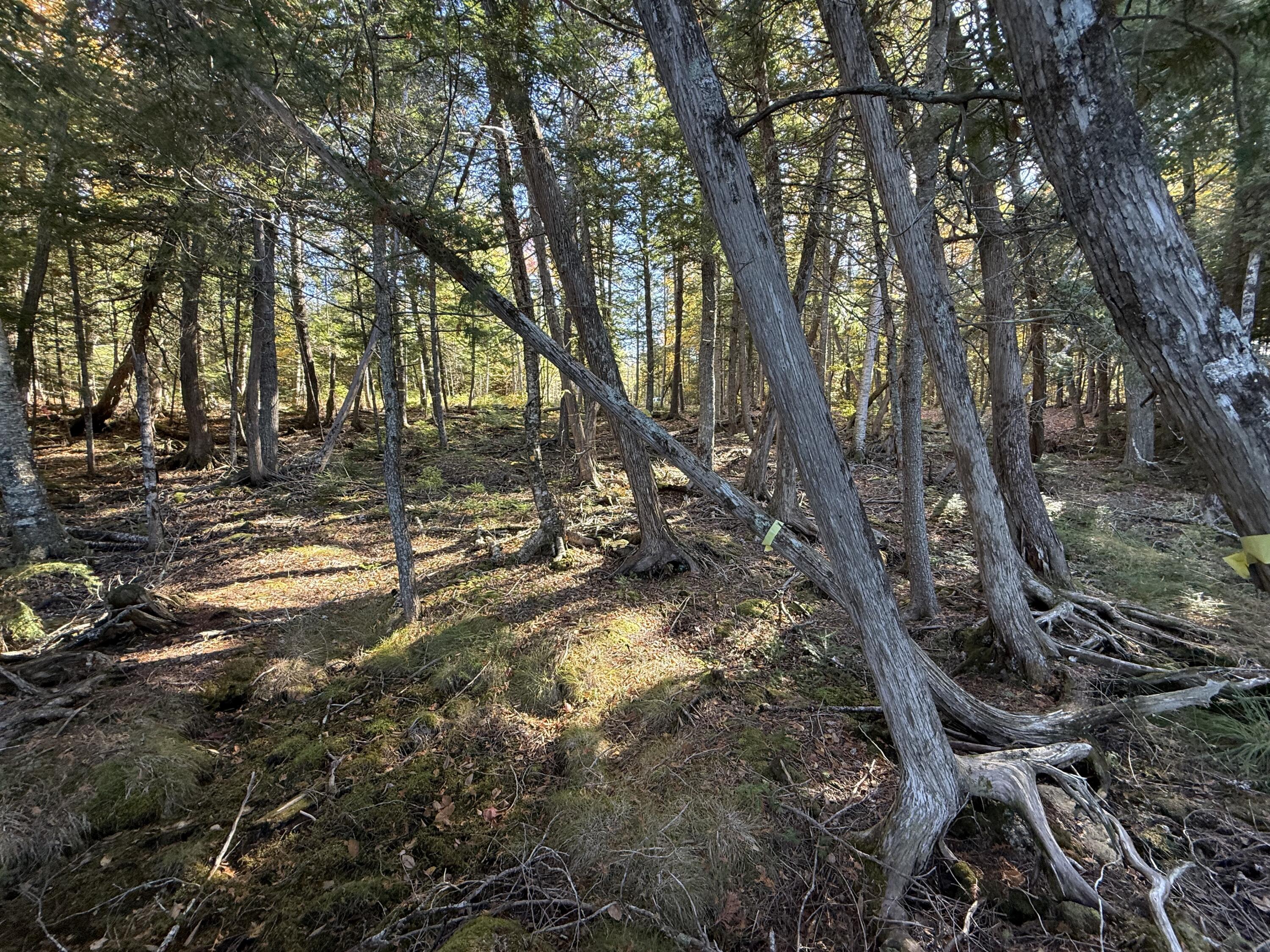 2 East Shore Road Glenwood ME 04497