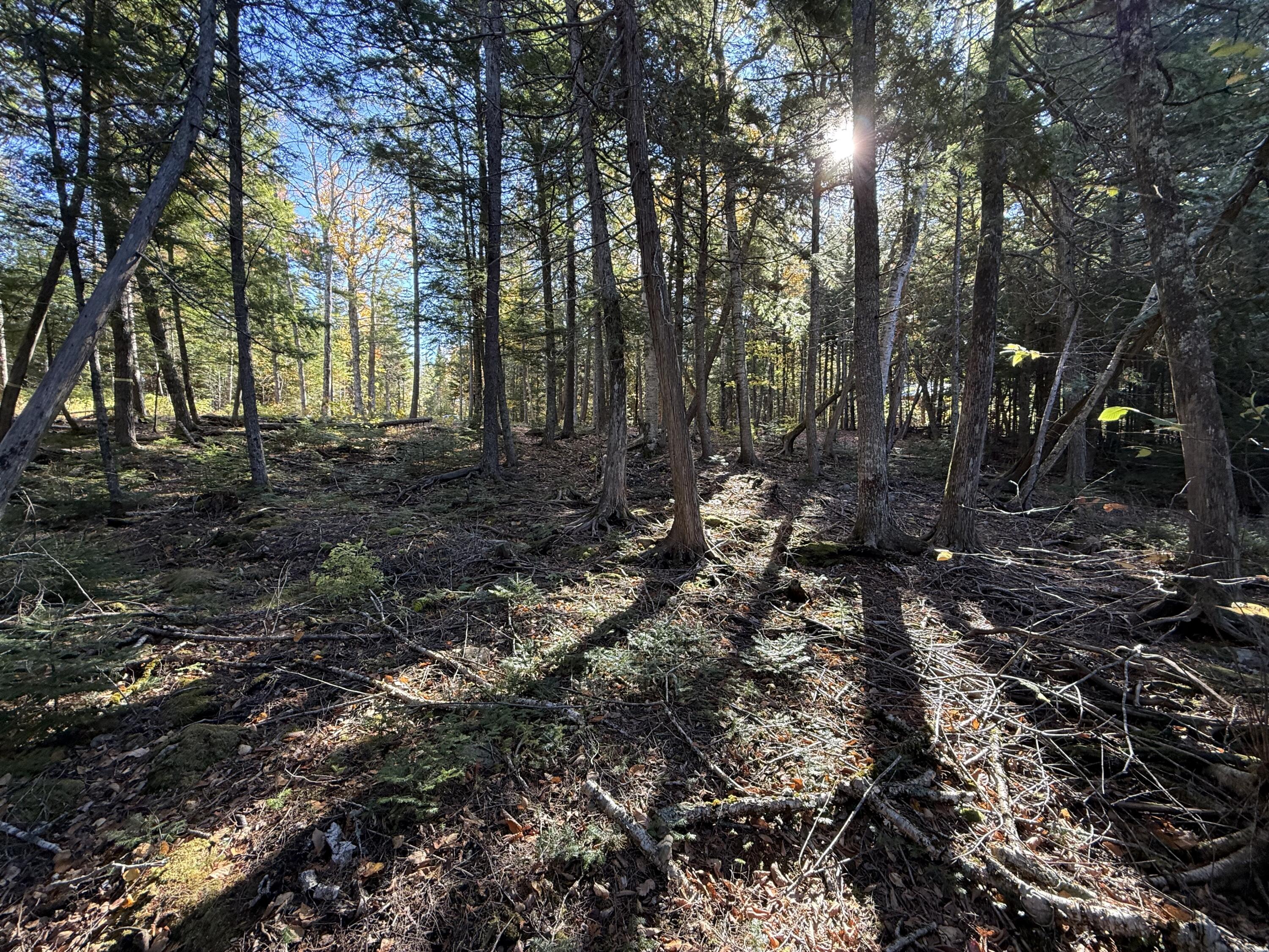 2 East Shore Road Glenwood ME 04497
