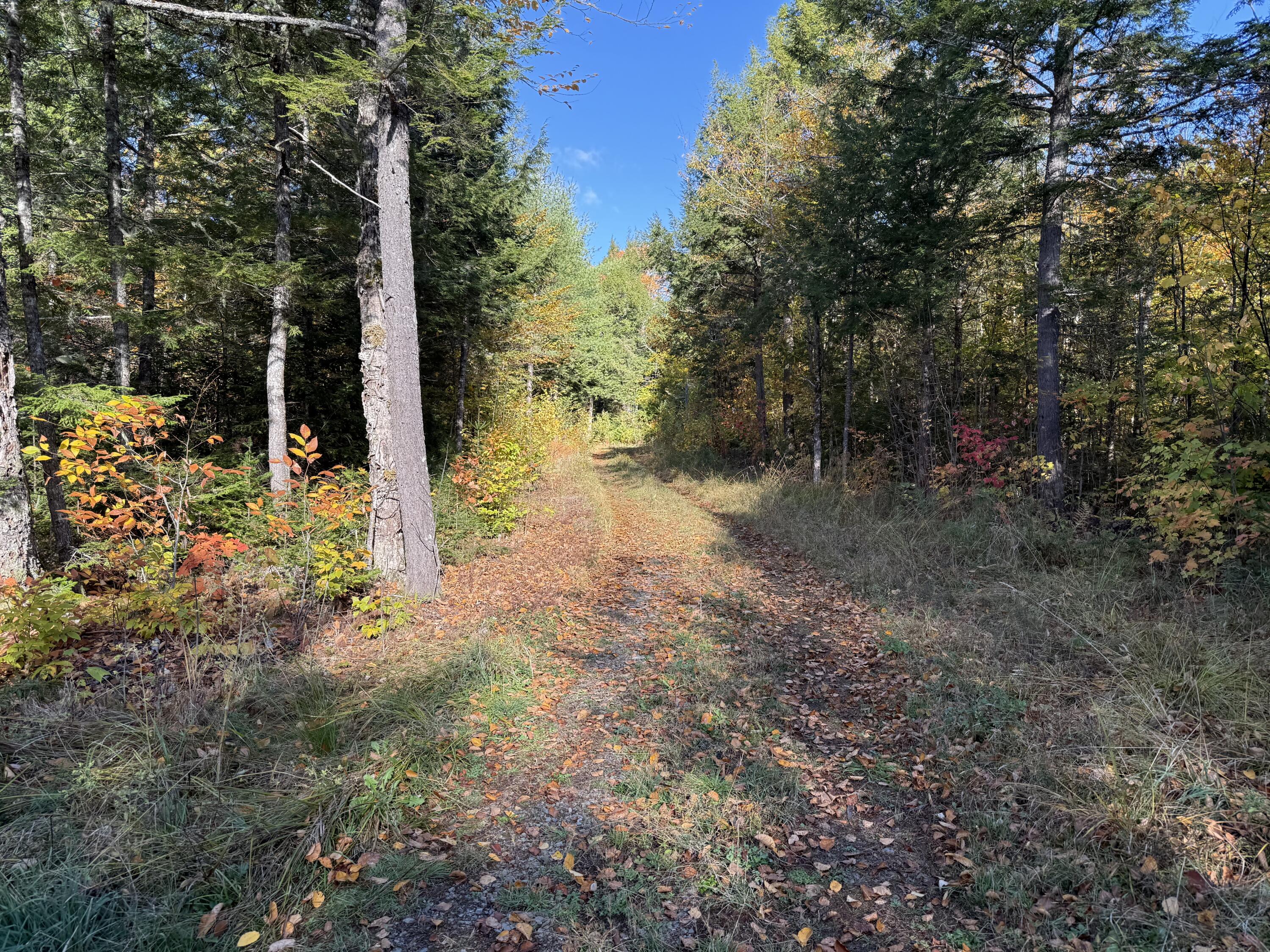 2 East Shore Road Glenwood ME 04497